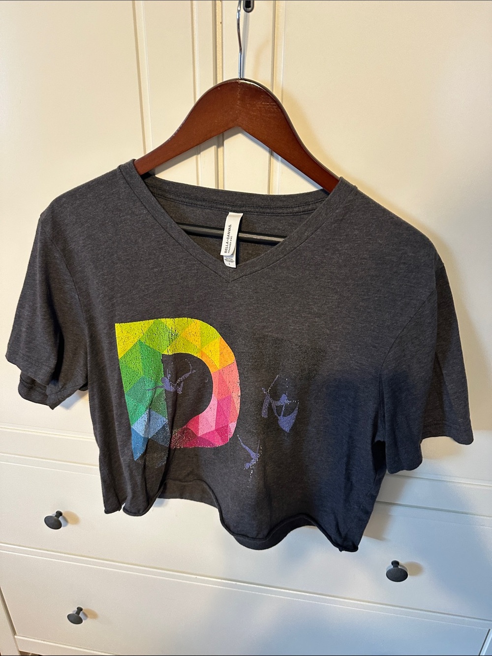 Gray Crop V-Neck Tee with Rainbow 'D' Graphic